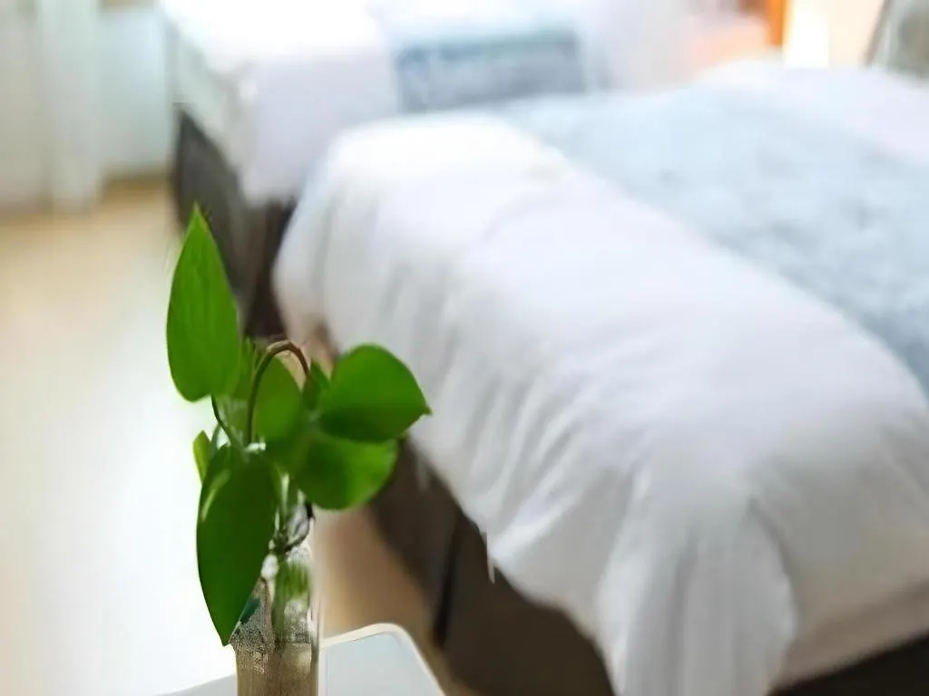 Swansea Resort Jeju
